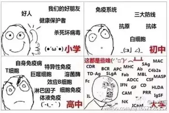 1个表情包形容你专业!网友:感觉当初脑子进水