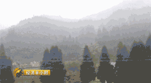 事实上在2016年4月23日记者采访时,威信县簸火村党总支书记李坤称,根据县委县政府和镇里面的要求,2016年12月30号以前必须完成验收。