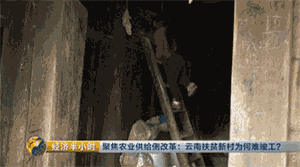 半年时间就能脱贫致富?基层干部道出原委:其实就是个统计数字