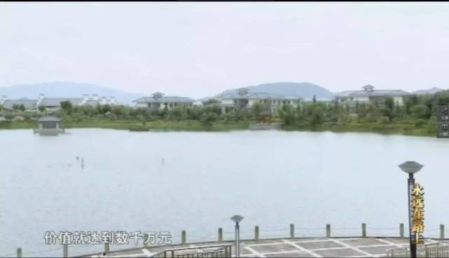 ڳ巿زĿ