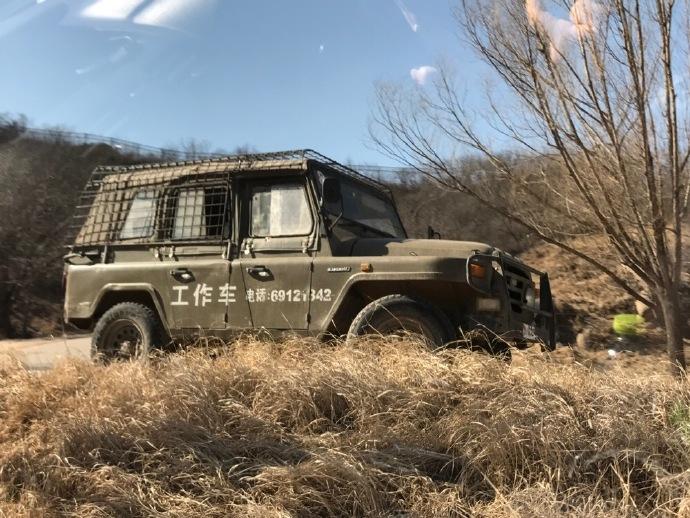 北京野生动物园轿车遭黑熊围堵熊爪伸进车内