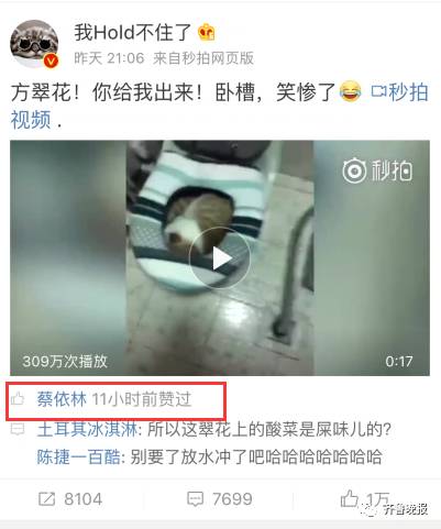 大婶训斥马桶睡觉的猫:方翠花你给我出来