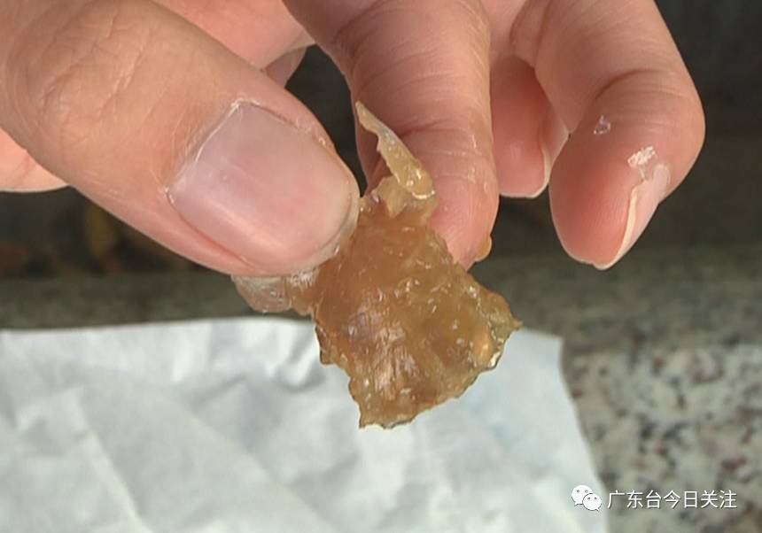 除此之外,我们在虾头中还发现有一块拇指大小的黄色啫喱状物体,手感比较有弹性。