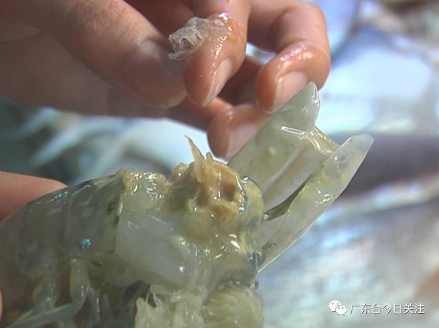 注水肉后又来注胶虾:商家疑用明胶粘合虾头和虾身