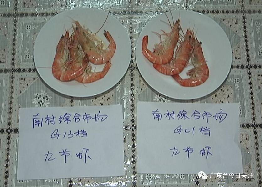 记者随后将分别从南村综合市场两间档口购买的冷冻九节虾煮熟,剥开后发现,两间档口冷冻虾的虾头中,均存在凝固的啫喱状物质,颜色呈透明的淡黄色,如拇指般大小,而其边缘则呈现出白色。有懂行人士说,虾头内存在这种物质实在太跷蹊。