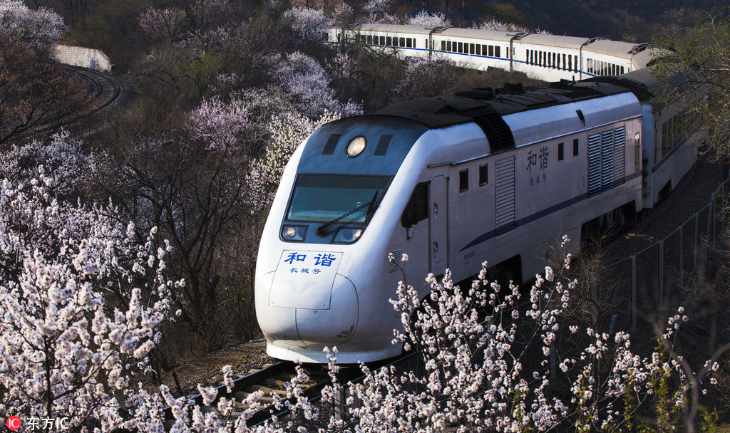 北京居庸关那趟 开往春天的列车 来了