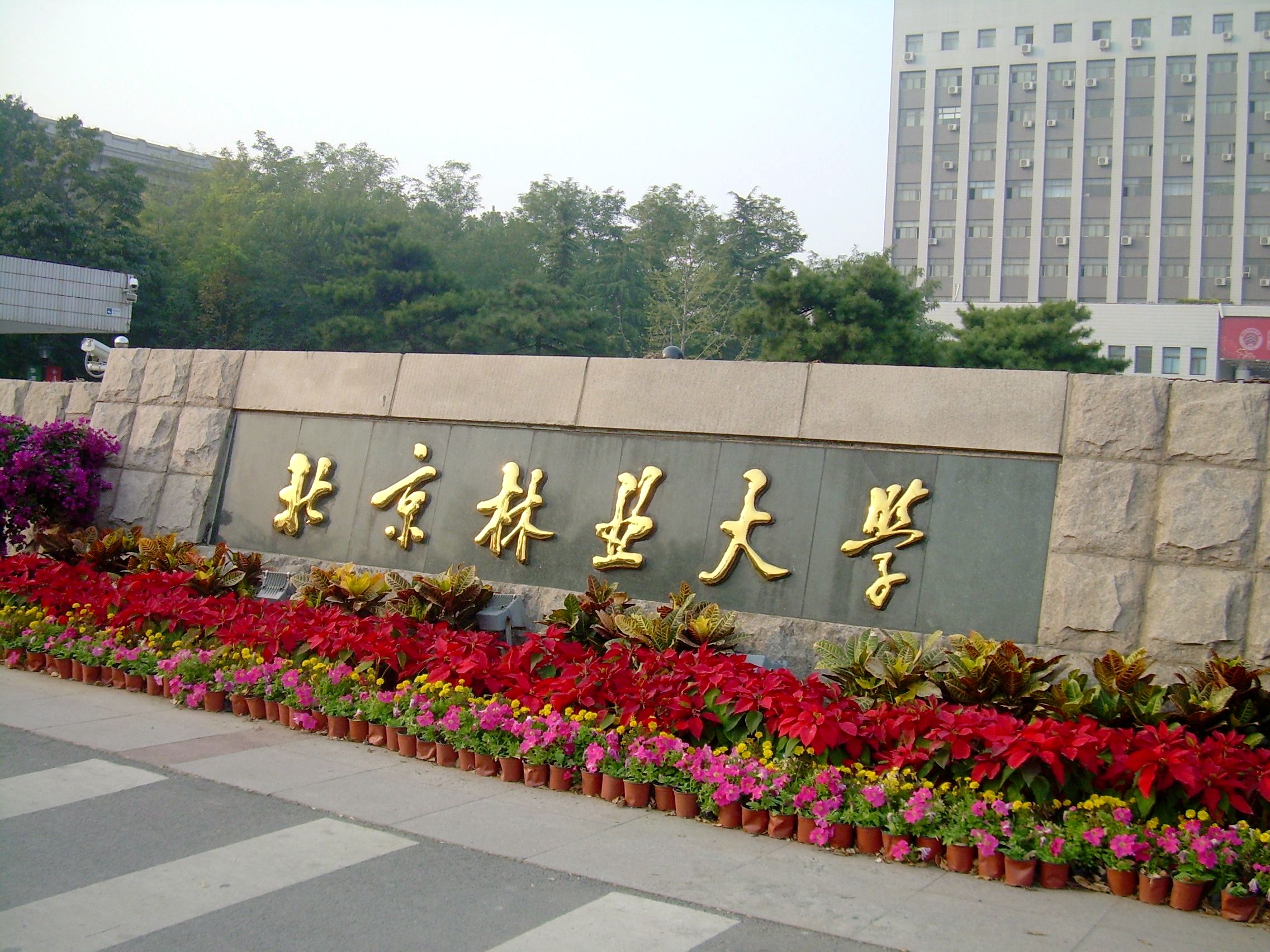 中石化、北京林业大学这些机构已开始与雄安合