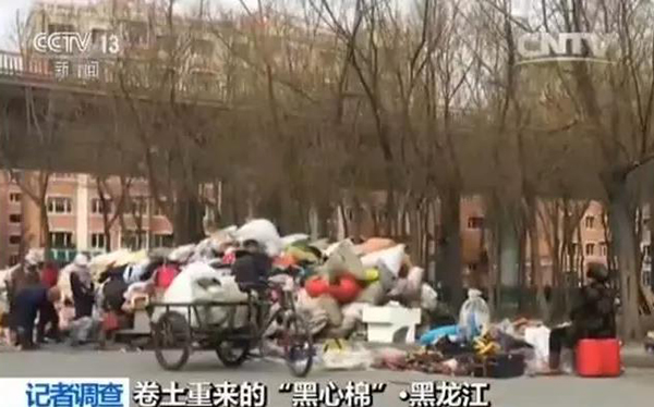 进入四月份，哈尔滨市的一些居民小区和城乡结合部，上门回收旧衣物、旧棉被的商贩多了起来。记者看到一辆三轮车车厢上装满了回收来的旧被褥，这些被褥有的布满油渍、有的已经发霉。