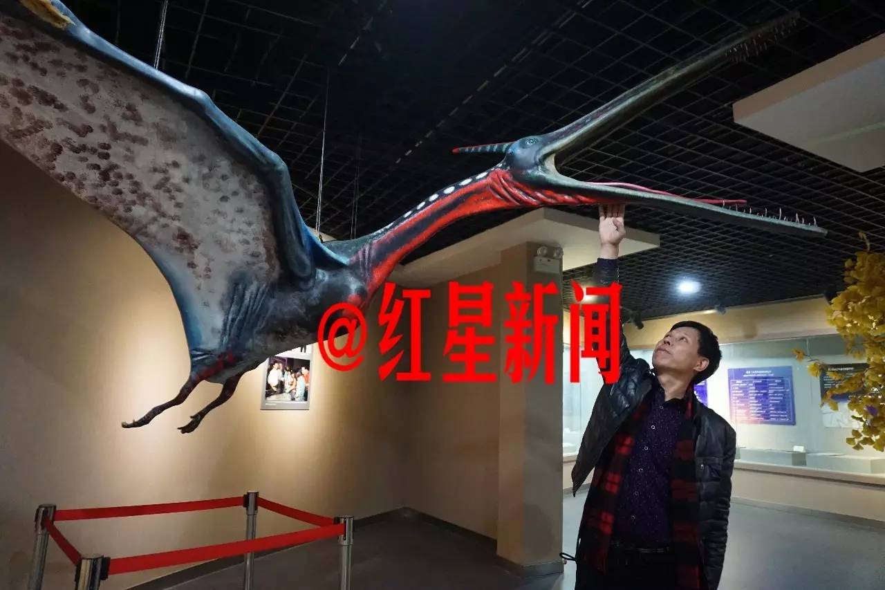 刘存余办有中国北票翼龙化石博物馆。他没想到,以妻子朱海芬的名义捐赠给河南省地质博物馆的朱氏莫干翼龙的化石,令妻子成为被告。