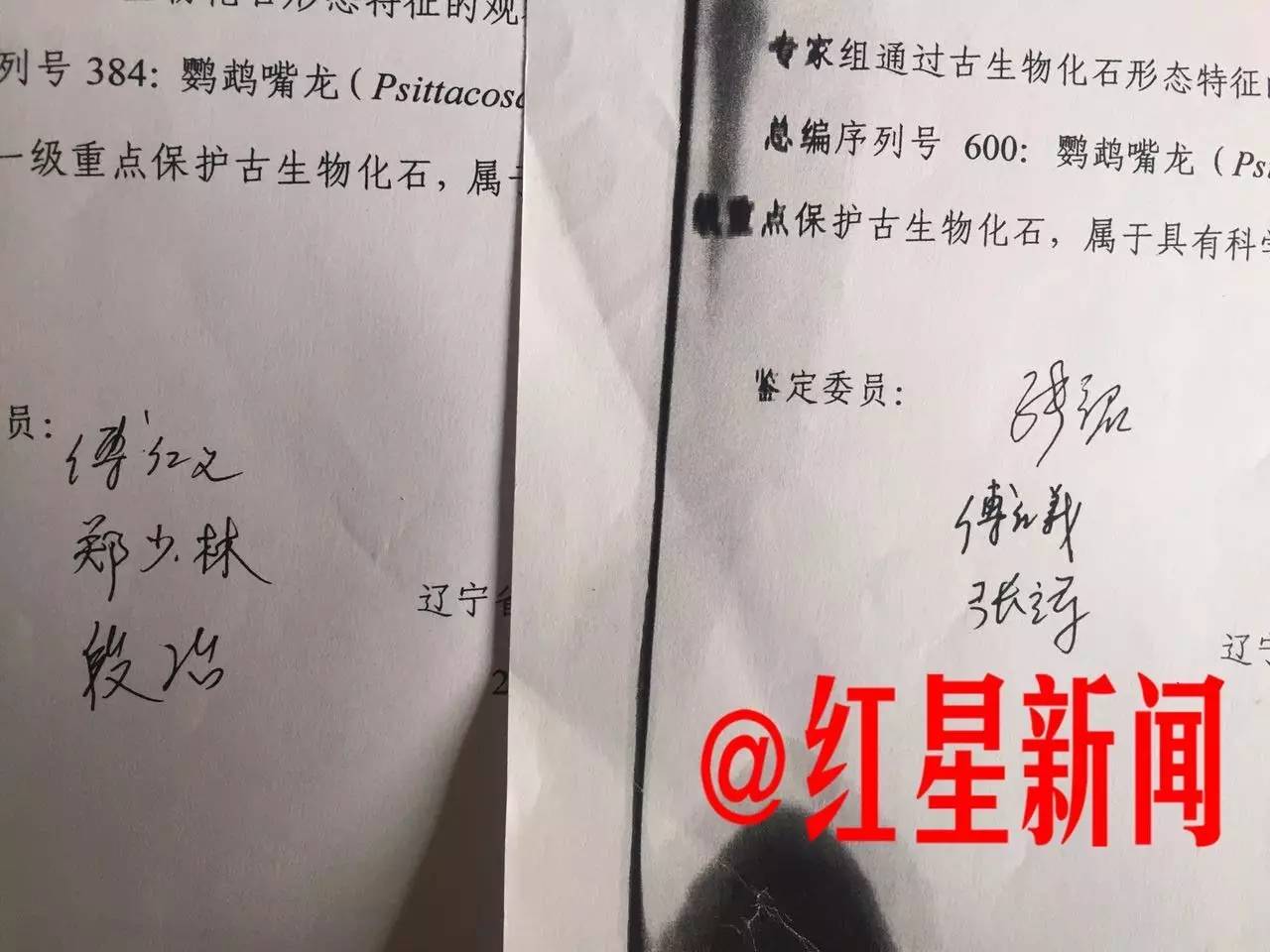 本溪警方委托的鉴定机构,鉴定涉案化石为古生物化石