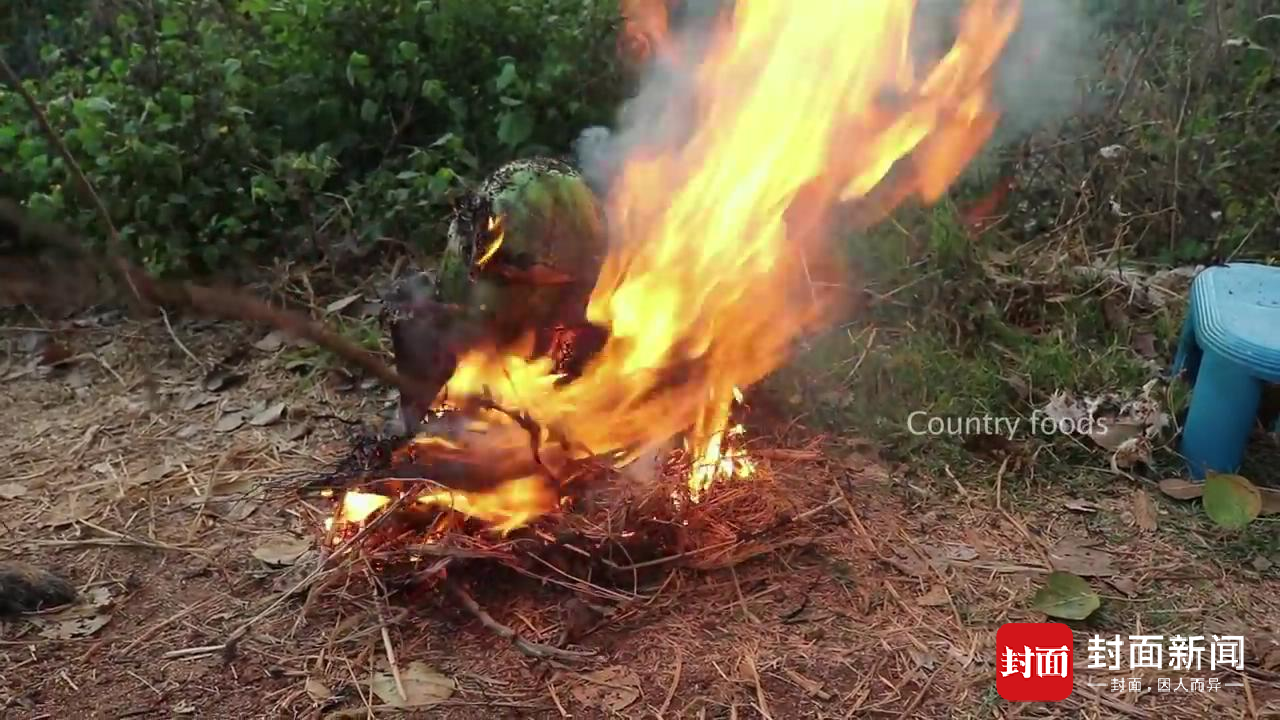 燒烤西瓜吃過沒？ 印度106歲老奶奶憑做鄉村美食成網紅