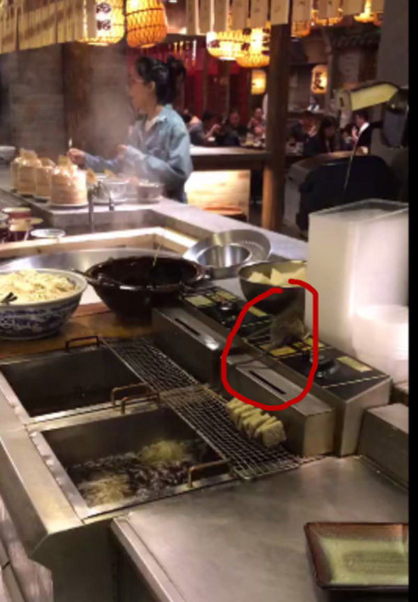 老鼠蹲在南京大牌档油锅上的视频截图。