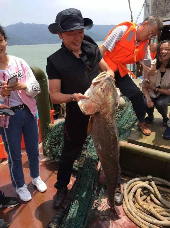 金钱鳘又称黄唇鱼，闽粤人称金钱�|，温州人称黄甘，是海洋里的一种珍贵鱼种，目前已经接近濒危灭绝的状态。