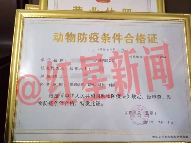 卖鹦鹉判5年养鹦鹉4年赔500万 卖也违法放也违法