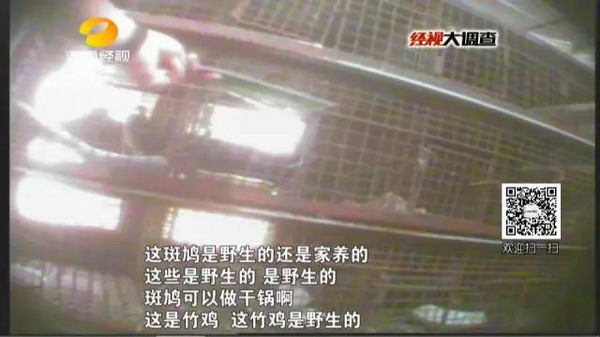 长沙一菜馆现“野生动物名录大全”菜单，宣称有证可开发票