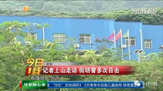 深圳闹市区现多只野生豹猫专家建议减少人类干预