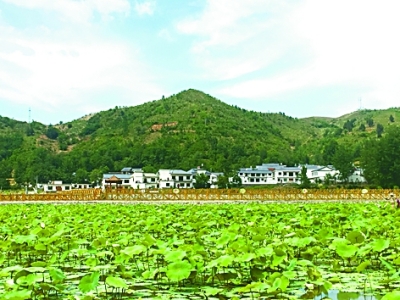 九眼莲基地成为旅游观赏的乡村一景。 记者 鲁元珍摄/光明图片