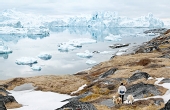 绚丽的格陵兰岛冰山