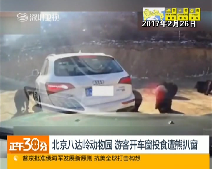 北京八达岭动物园游客开车窗投食遭熊扒窗