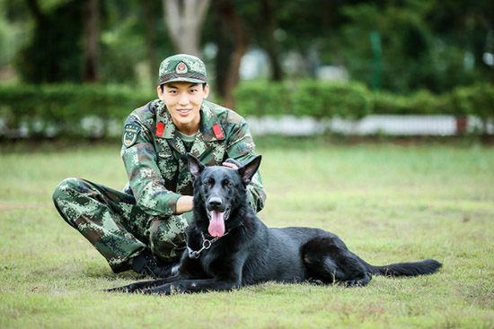 奇兵神犬阶段考核空前激烈张大大强势逆袭