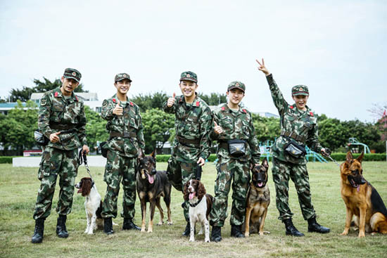 《奇兵神犬》收视三连冠 姜潮张馨予热搜霸榜