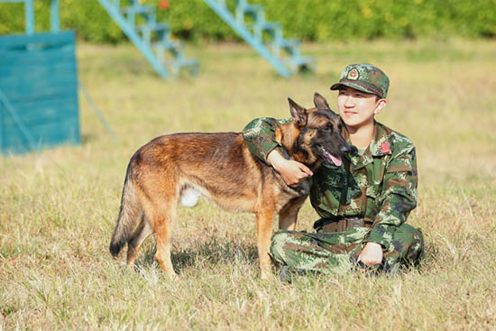 《奇兵神犬》张大大越战越勇 翻越丛林闹乌龙