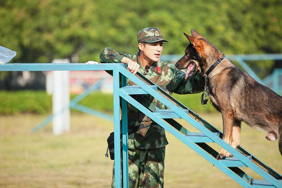 《奇兵神犬》断桥跳跃开练 姜潮杨朵兰特训惊人