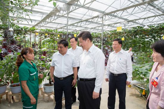 2015年6月16日下午,习近平在遵义县枫香镇花茂村的现代高效农业智能温控大棚,向正在劳动的村民了解增收致富情况。新华社记者 黄敬文摄