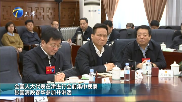 全国人大代表在津进行会前集中视察 张国清段春华参加并讲话 搜狐视