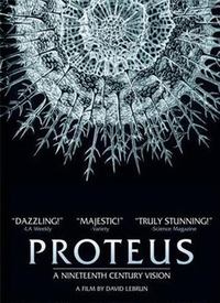 Proteus