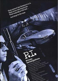 P.I. Private Investigations