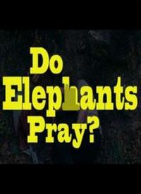 大象也祈祷么?