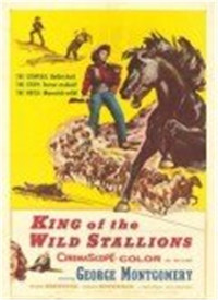 King of the Stallions