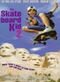 滑板少年2