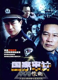 国家审计（DVD版）