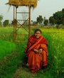 Vandana Shiva