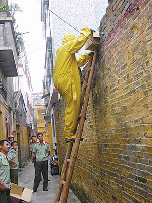 养蜜蜂那胡同 养蜜蜂哪个部门负责