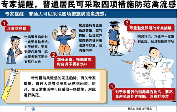 新闻频道 国际新闻 禽流感在全球蔓延 中国消息    新华网沈阳11月6日