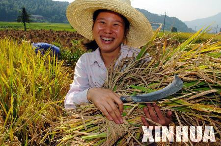 我国28个省份明确免征农业税8亿农民受益(图)