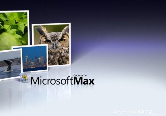 Microsoft,Max