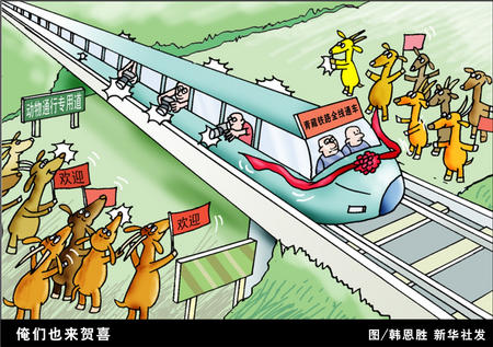 国内新闻 青藏铁路7月1日全线通车 青藏铁路运营图片