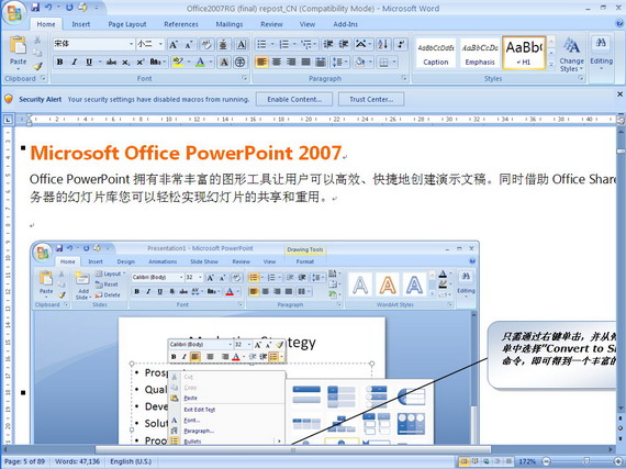 2007 Microsoft Office system Previewʾ