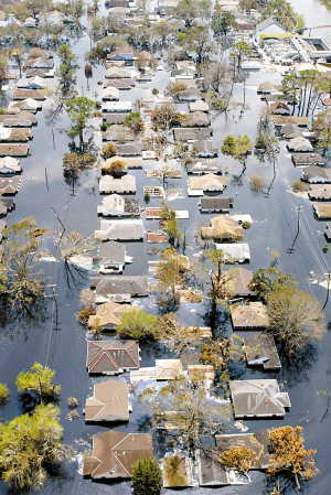 一年前的卡特里娜飓风造成约25万美国人被迫逃离家园