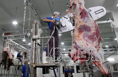 肉联厂分割肉车间图片图片