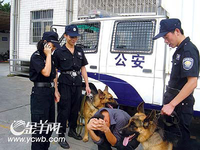 歹徒当街抢夺手机 深圳警犬发威扑倒抢匪(图)