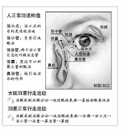 泪点位置图片