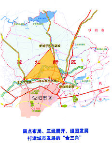 沈北新区规划图图片