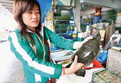多宝鱼重返广州市场 价格上涨三成多户酒楼预订