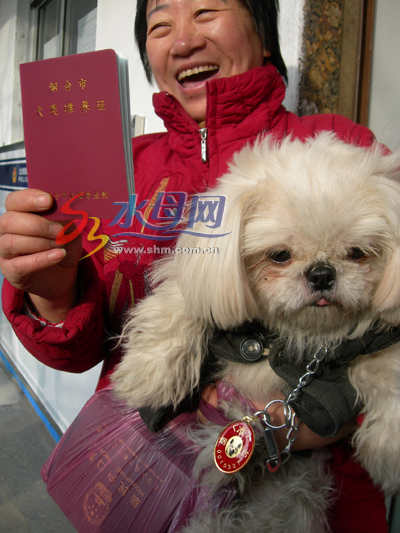 烟台发出第一张养犬证:喜领养犬证(张晋摄)