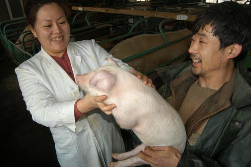 女敲猪将劁猪牧神记图片